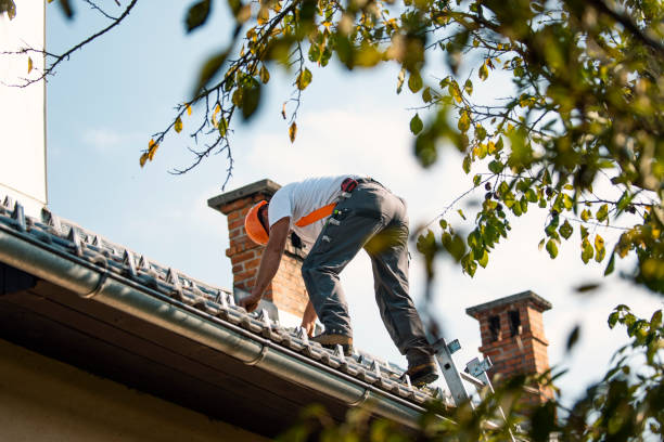 Best Chimney Flashing Repair  in Baltimore Highlands, MD