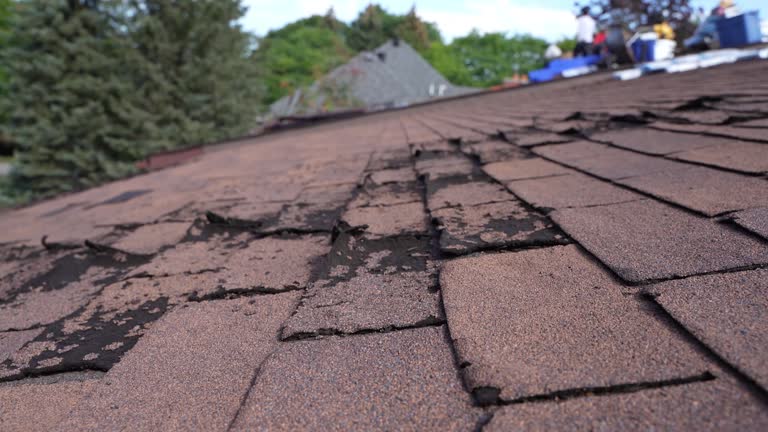 Best Storm Damage Roof Repair  in Baltimore Highlands, MD
