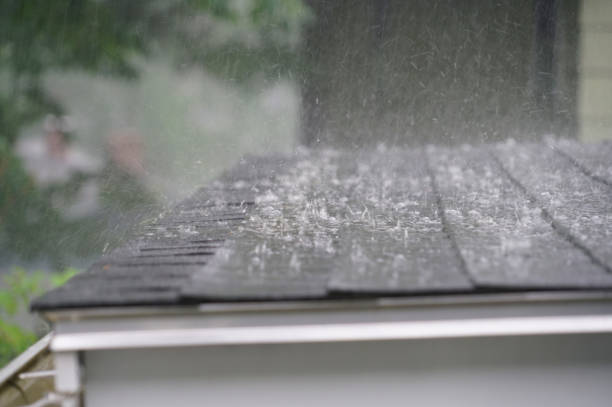 Best Solar Panel Roofing Installation  in Baltimore Highlands, MD