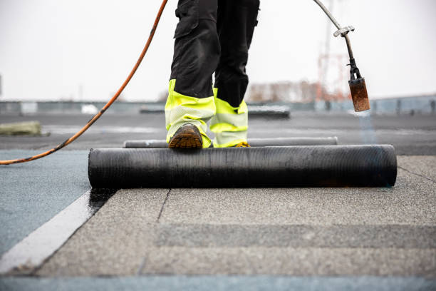 Best Sheet Metal Roofing  in Baltimore Highlands, MD